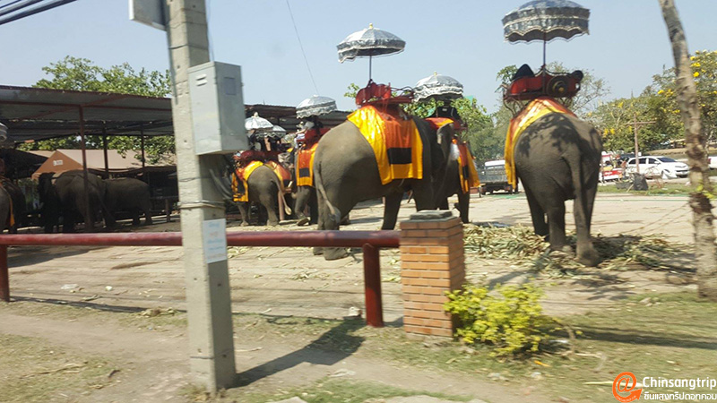 Driving to Ayutthaya for 1 day, going in the morning and returning in the afternoon_41